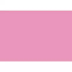 (C32127S015) IRIS CARTULINA 297X420MM 185GR ROSA CHICLE -50U-