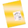 (C200005834) IRIS CARTULINA 297X420MM 185GR ORO -50U-