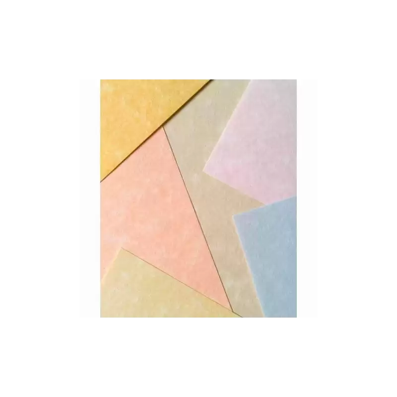 (9918229) MICHEL PAPEL PARCHMENT 180GR A4 PACK 100U BLANCO