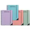 (P232) ADDITIO CUADERNO DE TODAS LAS CLASES PARA EL PROFESORADO D/P ESPIRAL DOBLE 256 PÁGINAS PVC C/SURTIDOS