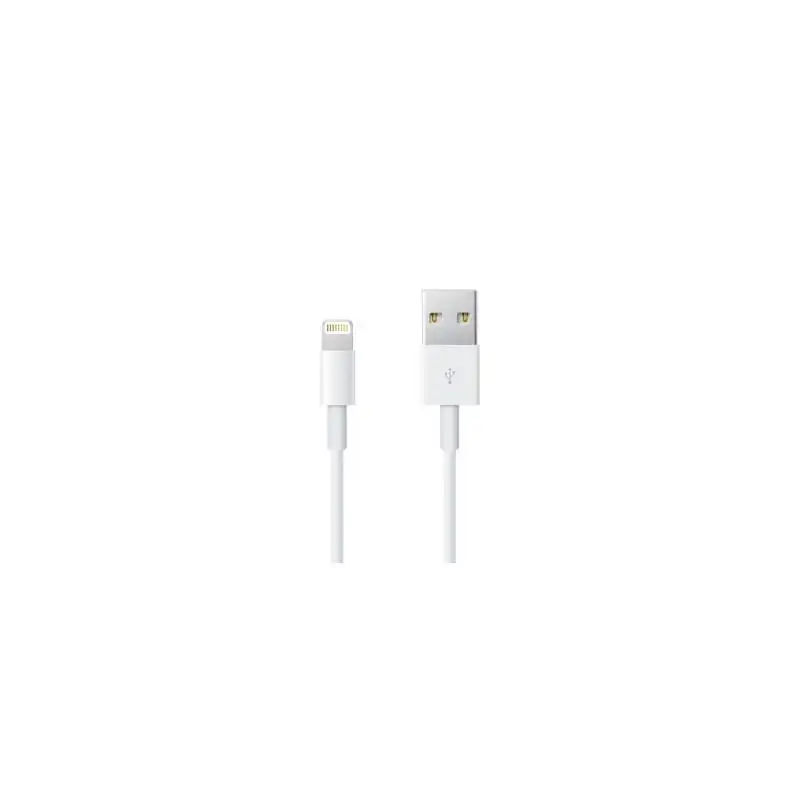 (ME291ZM/A) APPLE CABLE-APPLE -USB A - LIGHTNING