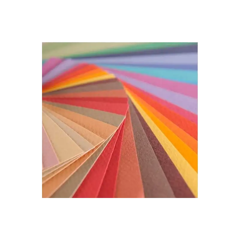 (C31032S090) CANSON PAPEL DE ARTE MI-TEINTES 50X65CM LILA 10 HOJAS