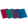 (100435671) ENRI CUADERNO ESPIRAL STATUS MICROPERFORADO 160 HOJAS 5X5 TAPAS EXTRADURAS A4+ COLORES