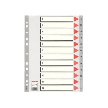 (100106) ESSELTE ÍNDICE NUMÉRICO MULTITALADRO SEPARADOR 1-12 POLIPROPILENO A4 GRIS CON CARÁTULA ÍNDICE CARTÓN COLOR