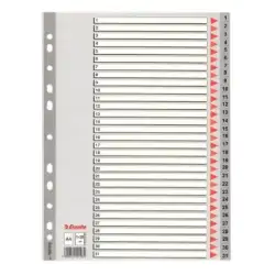 (100108) ESSELTE ÍNDICE NUMÉRICO MULTITALADRO 1-31 POLIPROPILENO A4 GRIS CON CARÁTULA ÍNDICE CARTÓN COLOR