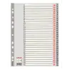 (100108) ESSELTE ÍNDICE NUMÉRICO MULTITALADRO 1-31 POLIPROPILENO A4 GRIS CON CARÁTULA ÍNDICE CARTÓN COLOR