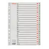 (100112) ESSELTE ABECEDARIO SEPARADOR MULTITALADRO A-Z  POLIPROPILENO A4 GRIS CON CARÁTULA ÍNDICE CARTÓN COLOR