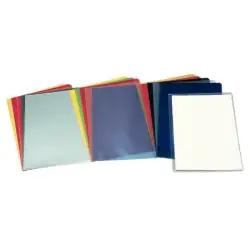 (46015) ESSELTTE DOSSIERS UÑERO PP 110 MICRAS PIEL NARANJA FOLIO TRANSP. -100U-