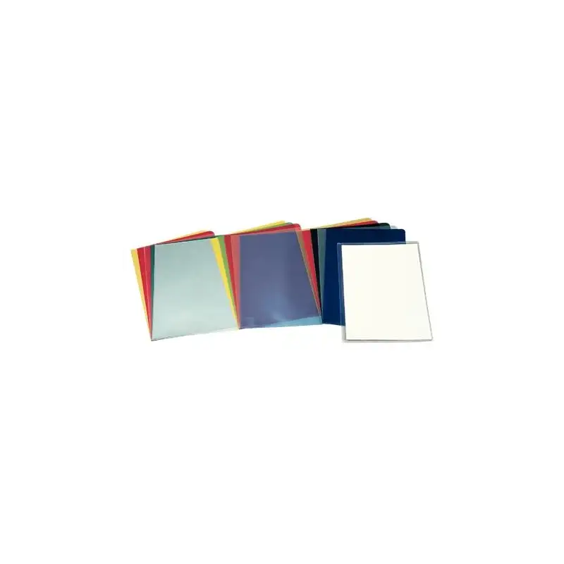 (46015) ESSELTTE DOSSIERS UÑERO PP 110 MICRAS PIEL NARANJA FOLIO TRANSP. -100U-
