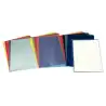 (46015) ESSELTTE DOSSIERS UÑERO PP 110 MICRAS PIEL NARANJA FOLIO TRANSP. -100U-