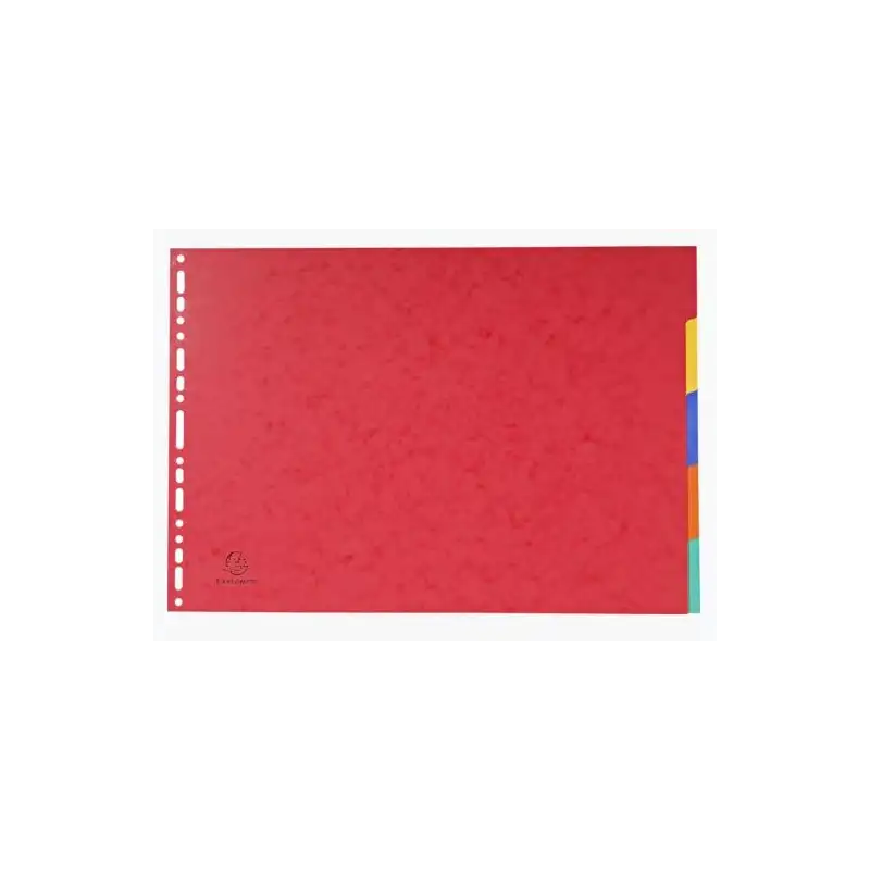 (2905E) EXACOMPTA SEPARADORES NATURE FUTURE CARTULINA LUSTRADA 400GR 5 POSICIONES A3 COLORES