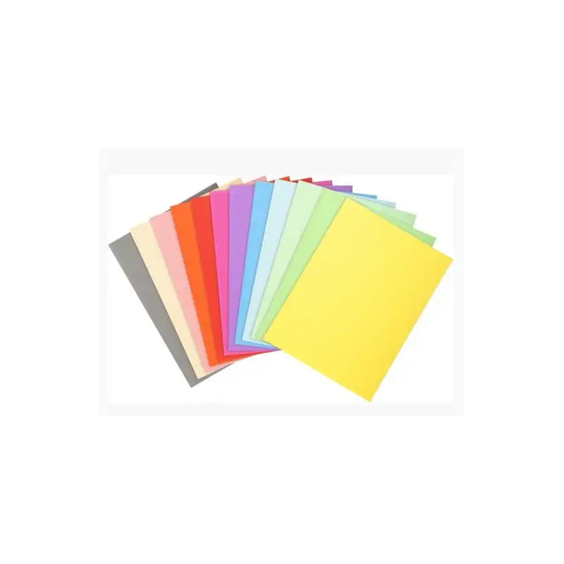 (410000E) EXACOMPTA SUBCARPETAS A4 FOREVER COLORES SURTIDOS 220GR -100U-