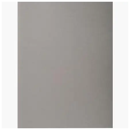 (410009E) EXACOMPTA SUBCARPETAS A4 FOREVER COLOR GRIS 220GR -100U-