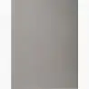 (410009E) EXACOMPTA SUBCARPETAS A4 FOREVER COLOR GRIS 220GR -100U-
