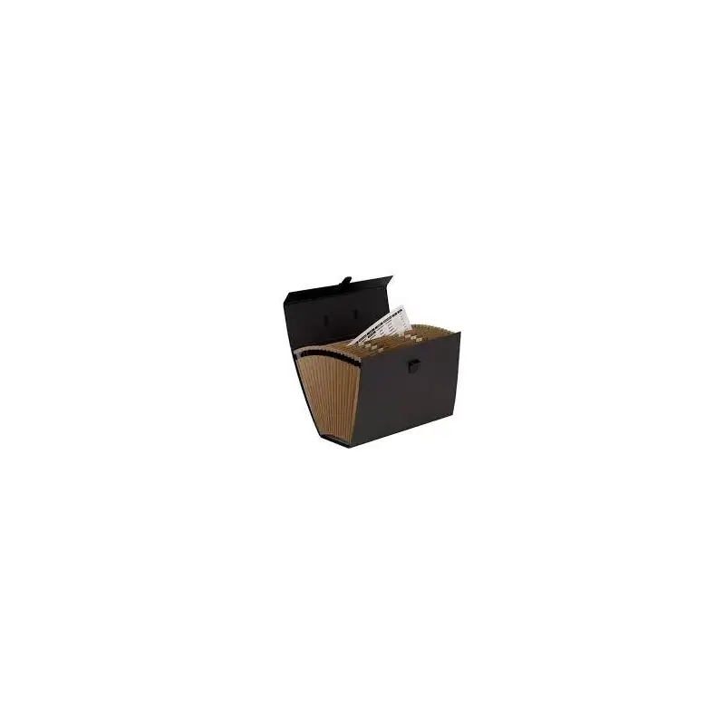 (9352101) FELLOWES MALETÍN CLASIFICADOR ACORDEÓN NEGRO