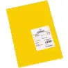 (C200040156) IRIS CARTULINA 210X297MM 185GR GUALDA -50U-