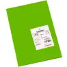 (C200040172) IRIS CARTULINA 210X297MM 185GR VERDE BILLAR -50U-