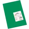(C200040173) IRIS CARTULINA 210X297MM 185GR VERDE ABETO -50U-