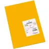 (C200040211) IRIS CARTULINA 297X420MM 185GR CUERO -50U-
