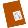 (C200040213) IRIS CARTULINA 297X420MM 185GR CHOCOLATE -50U-