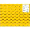 (C200040222) IRIS CARTULINA 50X65CM 185GR GUALDA -25U-