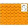 (C200040223) IRIS CARTULINA 50X65CM 185GR MANDARINA -25U-