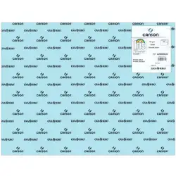 (C200040232) IRIS CARTULINA 50X65CM 185GR AZUL CIELO -25U-