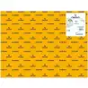 (C200040241) IRIS CARTULINA 50X65CM 185GR CUERO -25U-