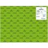 (C200040382) IRIS CARTULINA 50X65CM 240GR VERDE BILLAR -25U-