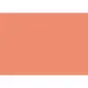 (C32127S014) IRIS CARTULINA 297X420MM 185GR CORAL -50U-