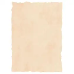 (2601229) MICHEL PERGAMINO TROQUELADO 200GR A4 PACK 25U BEIGE