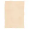 (2601229) MICHEL PERGAMINO TROQUELADO 200GR A4 PACK 25U BEIGE