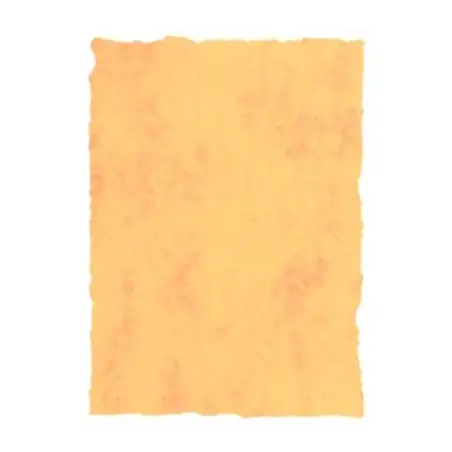 (2602229) MICHEL PERGAMINO TROQUELADO 200GR A4 PACK 25U AMARILLO