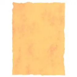 (2602242) MICHEL PERGAMINO TROQUELADO 200GR A3 PACK 25U AMARILLO