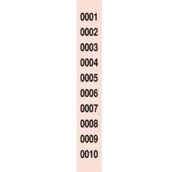 (R-980/10) LOAN TALONARIO SERIES RIFAS 1-10000
