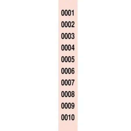 (R-980/10) LOAN TALONARIO SERIES RIFAS 1-10000