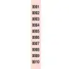 (R-980/10) LOAN TALONARIO SERIES RIFAS 1-10000