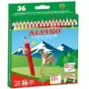 (AL010600) ALPINO LÁPICES DE COLORES 175MM C/SURTIDOS ESTUCHE 36 UD