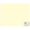 (14255) APLI CARTULINA 50X65CM 170GR PACK DE 25H MARFIL