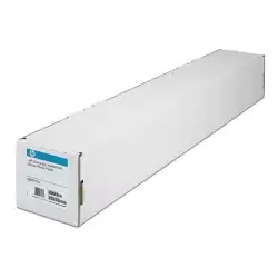 (Q8917A) HP PAPEL FOTOGRAFICO PLOTTER EVERYDAY PHOTO GLOSSY PIGMENT 36"