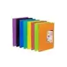 (50314053) CARCHIVO CARPETA CARCHIPLÁS-BOOK DE POLIPROPILENO TRASLÚCIDOS CON 40 FUNDAS SOLDADAS FOLIO ROJO
