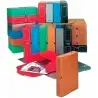 (6035C12) CARCHIVO CAJA ARCHIVO DEFINITIVO DESPLEGADO PP 100MM FOLIO ROJO