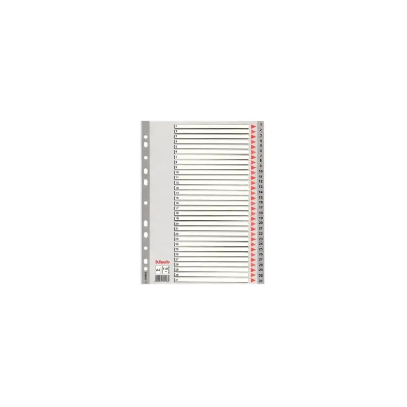 (100108) ESSELTE ÍNDICE NUMÉRICO MULTITALADRO 1-31 POLIPROPILENO A4 GRIS CON CARÁTULA ÍNDICE CARTÓN COLOR