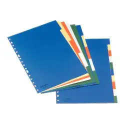 (11710) ESSELTE SEPARADORES 10 POSICIONES A4 PP COLORES CON CARÁTULA ÍNDICE CARTÓN BLANCO / NEGRO