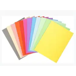 (410000E) EXACOMPTA SUBCARPETAS A4 FOREVER COLORES SURTIDOS 220GR -100U-