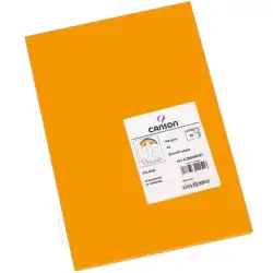 (C200040157) IRIS CARTULINA 210X297MM 185GR MANDARINA -50U-