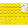 (C200040221) IRIS CARTULINA 50X65CM 185GR AMARILLO CANARIO -25U-