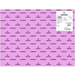 (C200040230) IRIS CARTULINA 50X65CM 185GR LILA -25U-