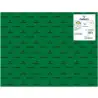 (C200040240) IRIS CARTULINA 50X65CM 185GR VERDE AMAZONAS -25U-