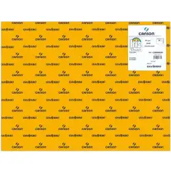 (C200040241) IRIS CARTULINA 50X65CM 185GR CUERO -25U-